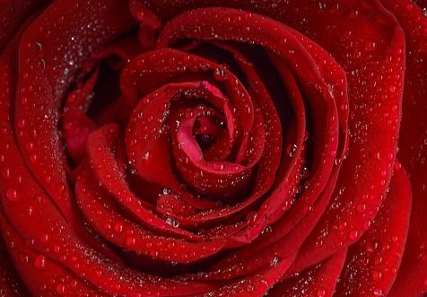OSHO Mystic Rose - thérapie méditative
