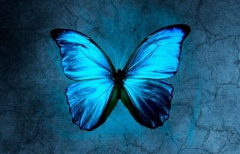 L'Art de Mourir - une approche méditative du grand départ